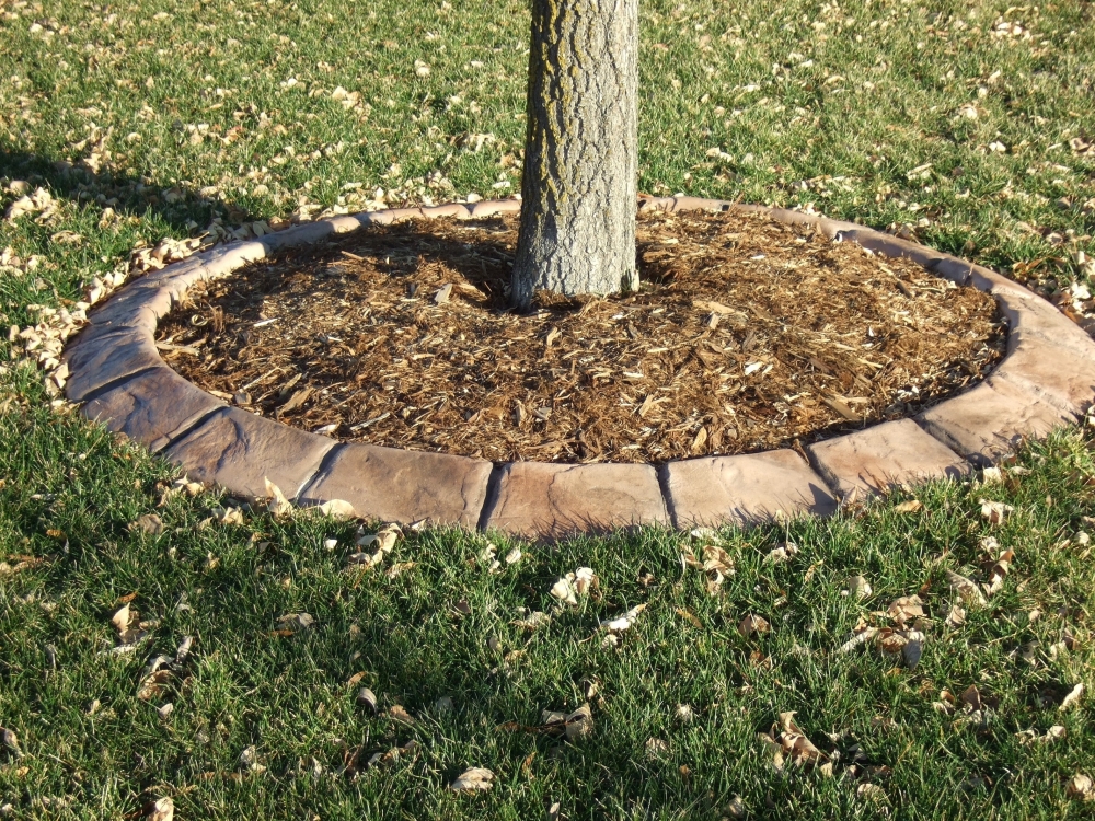 Concrete Edging with Mulch and Tree