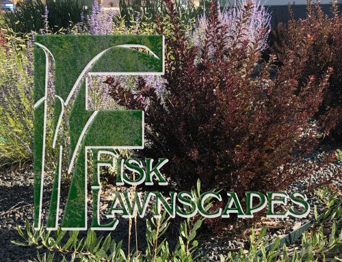 Using Landscape as Defensible Space